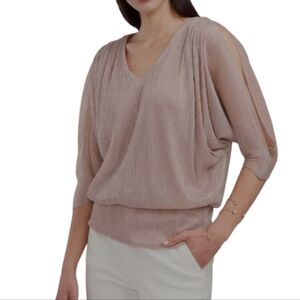 Chaus Womens Shimmering Blush Blouse Size Small